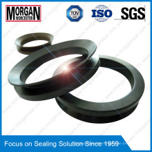 Va Type Best Quality Fluid/Coolant/Water V Ring Seal